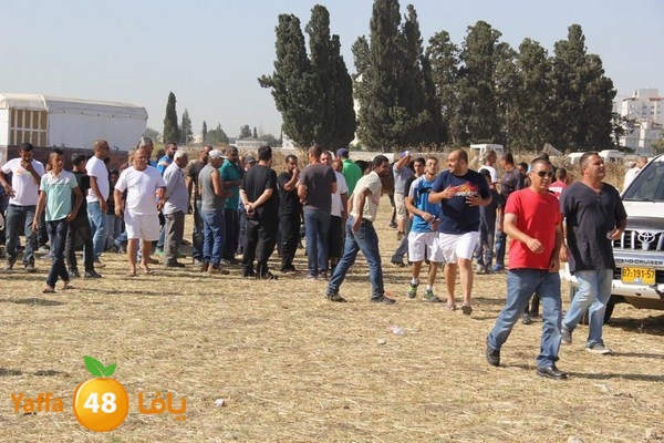 horse race 0602 (38).JPG